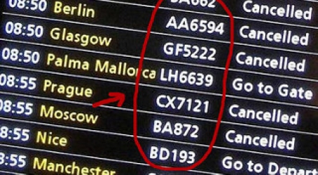 flight number